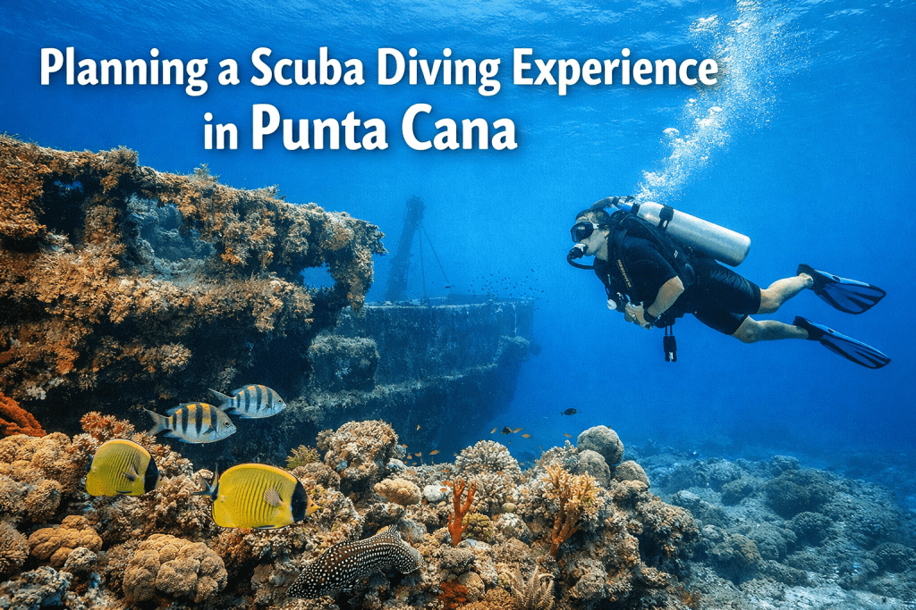 Planning a Scuba Diving Experience in Punta Cana - image 3
