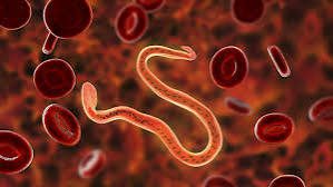 Common Intestinal Parasites and the Treatments Used Against Them - Post-Travel Parasitic Disease Including Evaluation of Eosinophilia | CDC Yellow Bookâ„¢